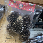 【大きめ松ぼっくり 5個セット】9〜12センチ前後／煮沸・トゲ取り済み／リース・ナチュラル素材・クリスマス飾りに🎄