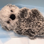 【訳アリ】ふわふわラッコ(ベージュグレー×ミックスブラック)