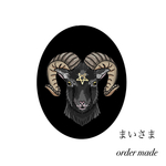 ✴︎まいさま専用✴︎ order made