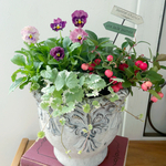 春まで楽しめる✴︎チェッカーベリーと華あられビオラの寄せ植え(ピック付き)