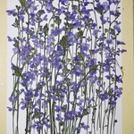 押し花商品【マツバウンラン】