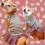 ♡秋ですボーダーチュチュワンピース♪ホワイトパープル白紫中型犬小型犬フレブル服パグ服マックブヒマクドナルドフレンチブルドッグ中型犬小型犬ボストンテリアメッシュ