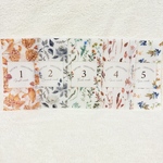 No.37 花 No.1〜No.5 A6 saving リフィルバインダー貯金