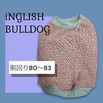 冬服★イングリッシュブルドッグ★胴回り80〜83着丈46★インレーニットのタンクトップ
