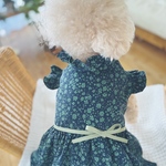 クリスマスにはまだ早い。でもやっぱりクリスマスカラー🎄専用ページです