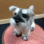 手のりサイズのミニチュアシュナウザー