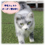 羊毛フェルトオーダー 🌈虹のこえの猫