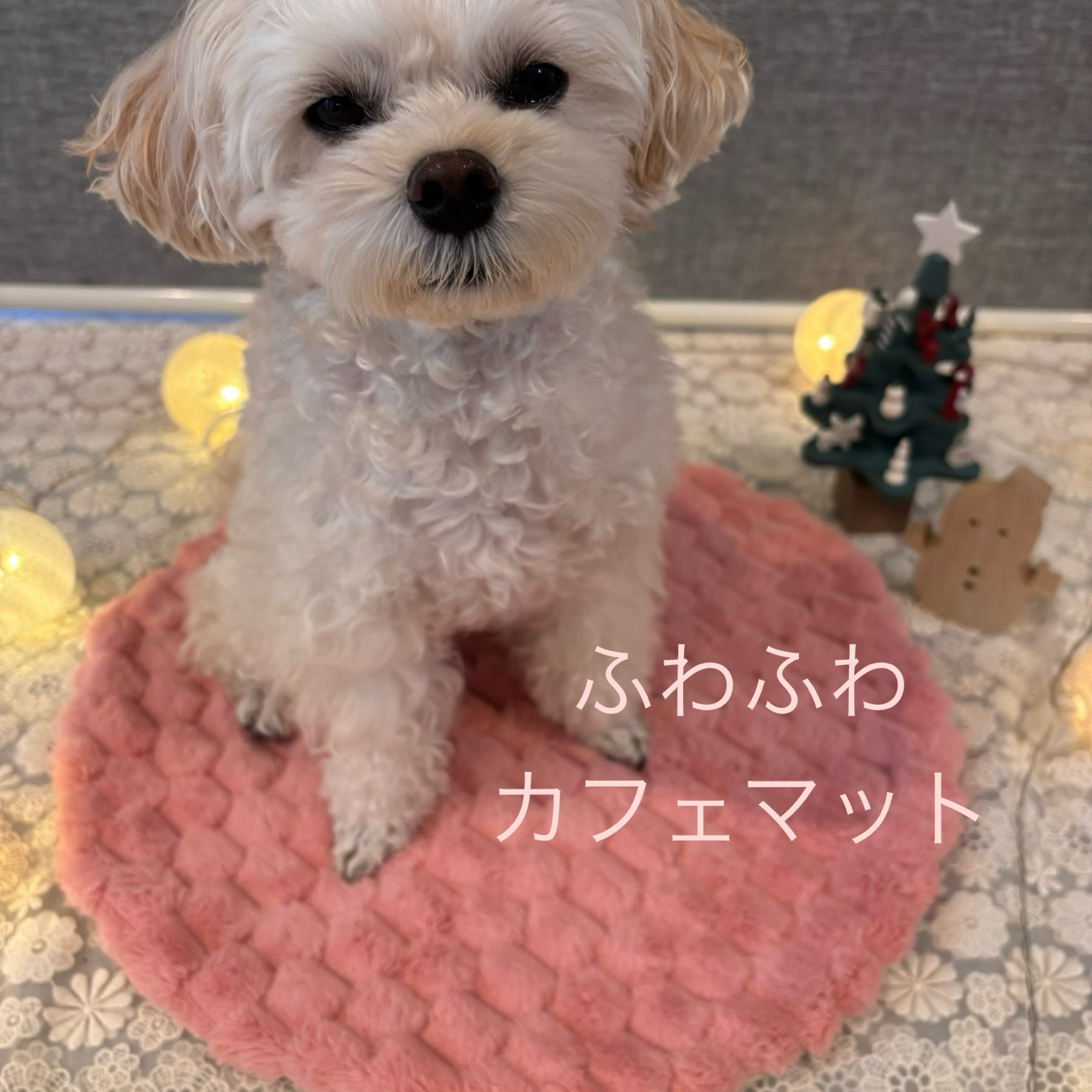 カフェマット　オーダー　見本 再販&新柄追加♪おりこうさん用 カフェマット（L）ネーム入りカフェ