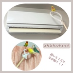 安全で安心《とりとりスティック》✩.*˚鳥さん用便利アイテム