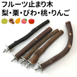 フルーツ止まり木 りんご、桃、栗、梨、びわ　5本セット。