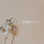 計測用チップ