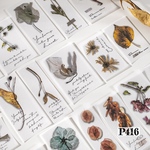 送料無料【P416コラージュ素材】海外紙モノ　英字　植物　硫酸紙　ジャンクジャーナル　ヴィンテージ  レトロ
