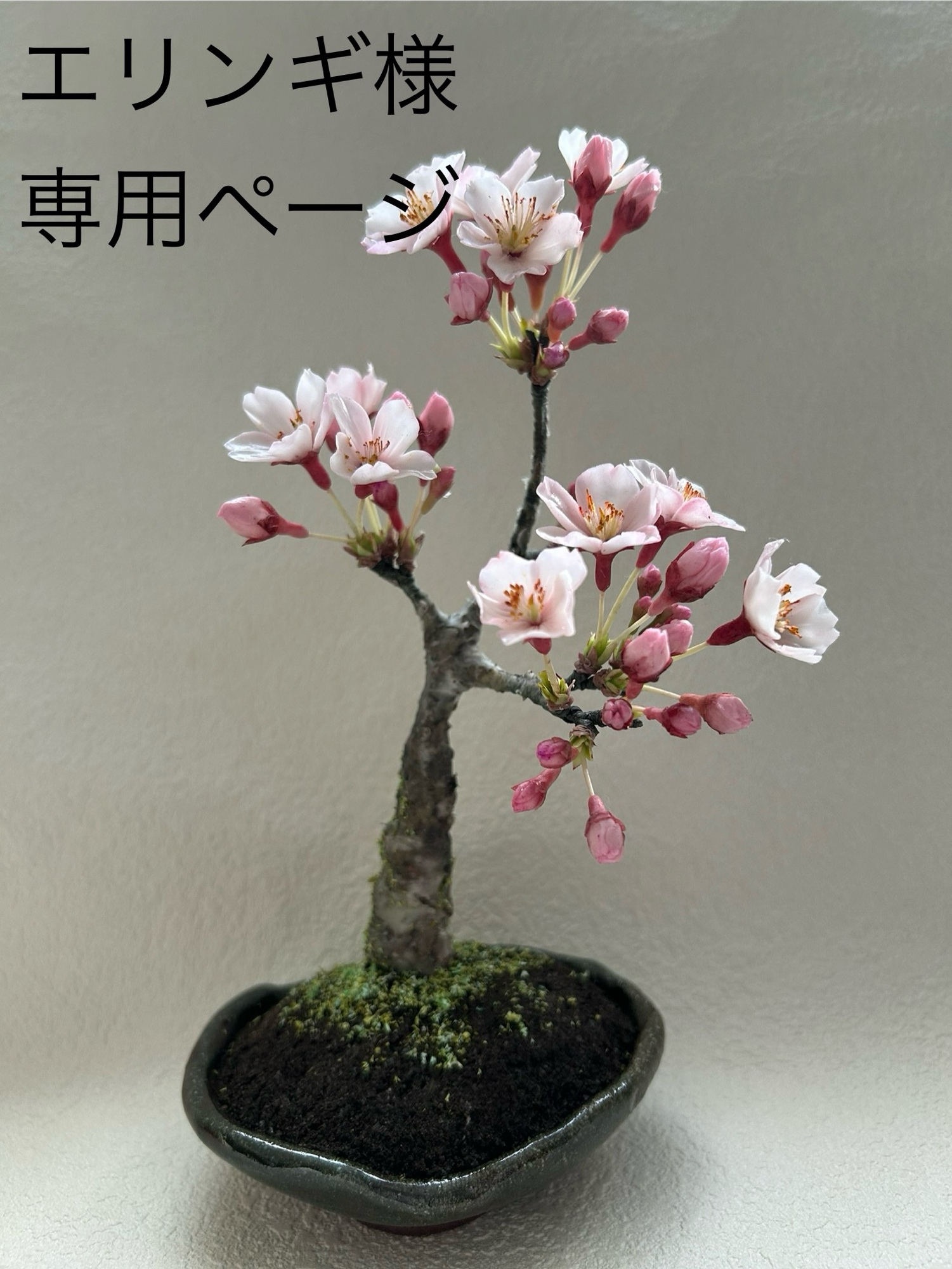 クレイフラワー ネモフィラ - FLORACLAY'S GALLERY | minne byGMO