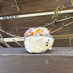  《新作》＊＊ゴロリン寝そべり🦔ハリネズミ🦔フラワーポット＊。 ・＊
