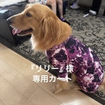 『リリー』様専用カート