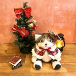 ハチワレのキジ白猫　ぬいねこ