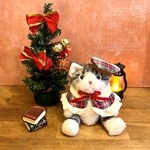 ハチワレのサバ白猫　ぬいねこ