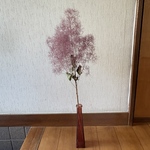 スモークツリー 大きめ 5本 40cm 34cm 【21】＊ ふわふわ グリーンボール ドライフラワー
