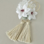 セミオーダーtomota様