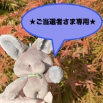 【ご当選者さま専用】たるたにあん（10番）小さいグレージュの子