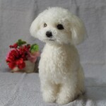 moco-moco126さま専用 羊毛フェルト オーダー「リアルで可愛いワンちゃん」マルチーズ