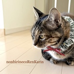【サイズ調節可能】猫用首輪　ねこ用首輪　「猫くびわ　ホワイトの森」シュシュ首輪　シュシュくびわ　ねこ用くびわゴム　布幅約3cm 