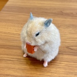 yukikoitoco様専用ページ