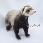 〈rocca様専用オーダー作品。フェレットさん  羊毛フェルト〉 