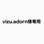 vizu.adorn様11月LIVE品K