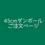 strawsanご注文ページです