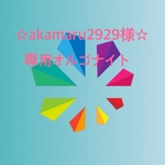 akamaru299様専用オルゴナイト