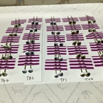 kさま専用ページ