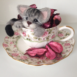 ポプリ入りカップ猫 【薔薇ポプリ】アメショー子猫 羊毛フェルト 