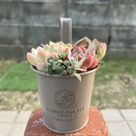 ★送料無料★♡そのまま飾れる♡ブリキポット♬可愛い多肉植物寄せ植え╰(*´︶`*)╯♡