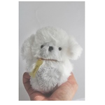 ちっちゃこいぬ　泥んこで遊びたいホワイトわんこ　ハラシロ科
