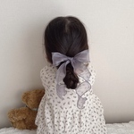 Organdy ribbon clip