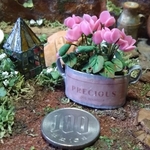 ミニチュアの花「ガーデンシクラメンC」