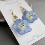 ネモフィラの揺れる耳飾りA　本物のネモフィラのアクセサリー ピアス/イヤリング/樹脂ノンホール
