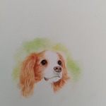 tm1909 様　専用ページ