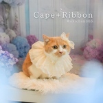 アイボリーカラーのふわふわケープ×リボン2個（つけ襟、ケープ、犬、猫、うさぎ、誕生日、記念日）クリスマス