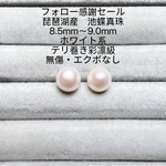 フォロー感謝セール　琵琶湖産　池蝶真珠　テリ巻き彩凛級　8.5mm〜9.0mm