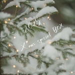 🎄2025 X'mas BOX⛄️ 福袋　送料無料