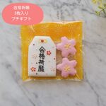 合格祈願  プチギフト アイシングクッキー