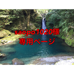 saopo1020様専用ページ