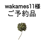 【　wakames11　様】ご予約品▼BWダブルガーゼのスヌード▼