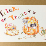 Trick or treat! ミニチュアシュナウザー
