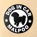 犬【マルプー】黒 マグネット ステッカー　防水　車用