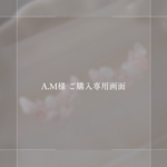 【A.M様専用】