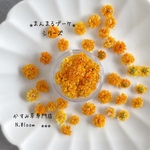 かすみ草　＊オレンジキャンディー＊　まんまるブーケシリーズ　ドライフラワー　レジン　ヘッドのみ　カスミソウ　カスミ草　花材　青　赤　緑　黄色　ピンク　紫　ラベンダー　粒　かすみ草ドライフラワー