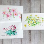 【ポストカードの水彩画】💐季節の花３枚セット💐